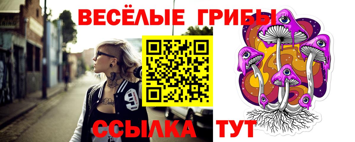 Псилоцибиновые грибы Cubensis Камень-на-Оби