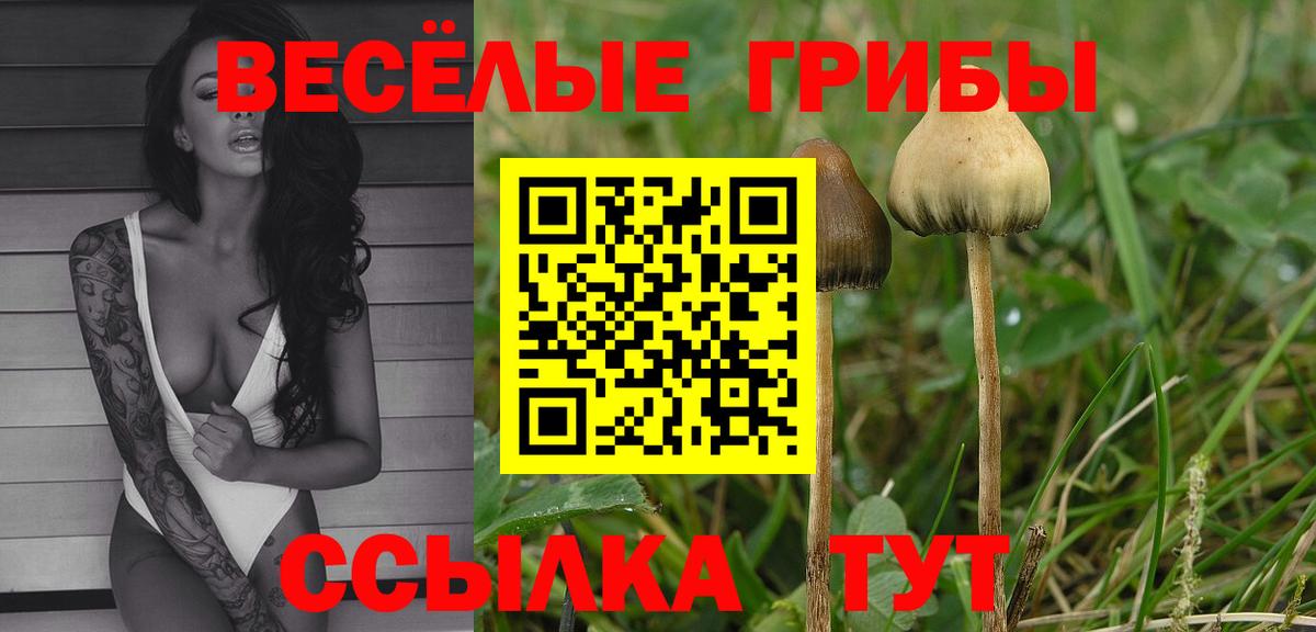 Псилоцибиновые грибы Psilocybine cubensis  Вход с VPN  купить  цена  Камень-на-Оби 
